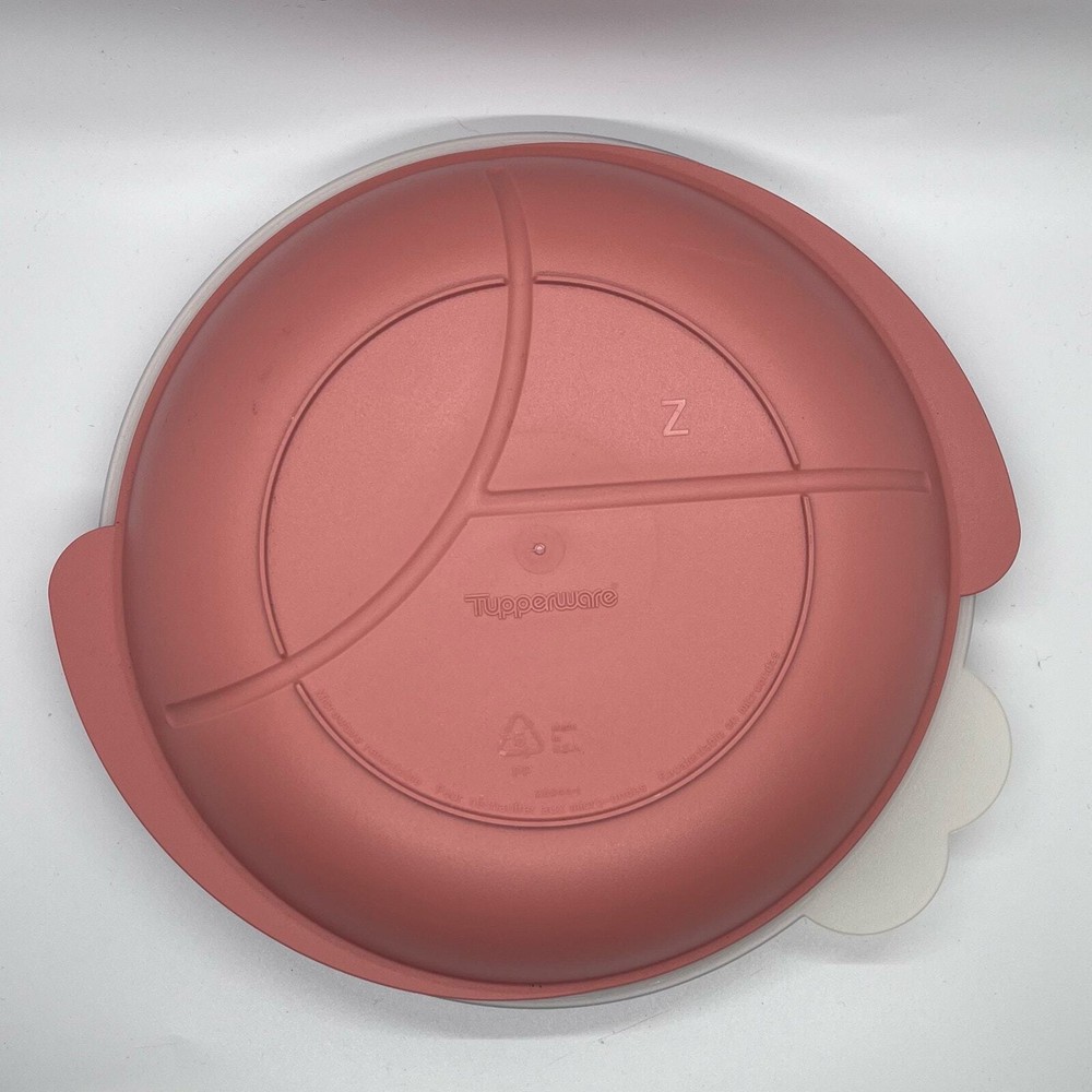 Tupperware Divided 3 Slot Dish Lided Salmon Reheatable Serving Storage