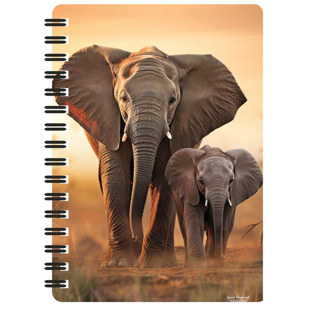 deluxebase 3D Sunset Stroll Elephant Jotter Notebook