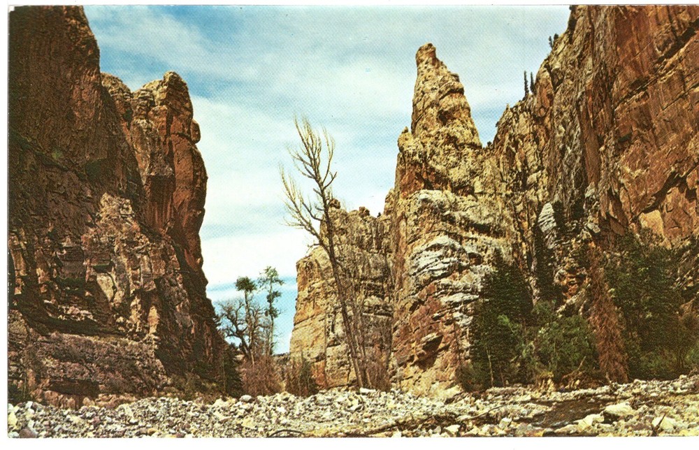 TOWER ROCK, ASHLEY NATIONAL FOREST - PC2719