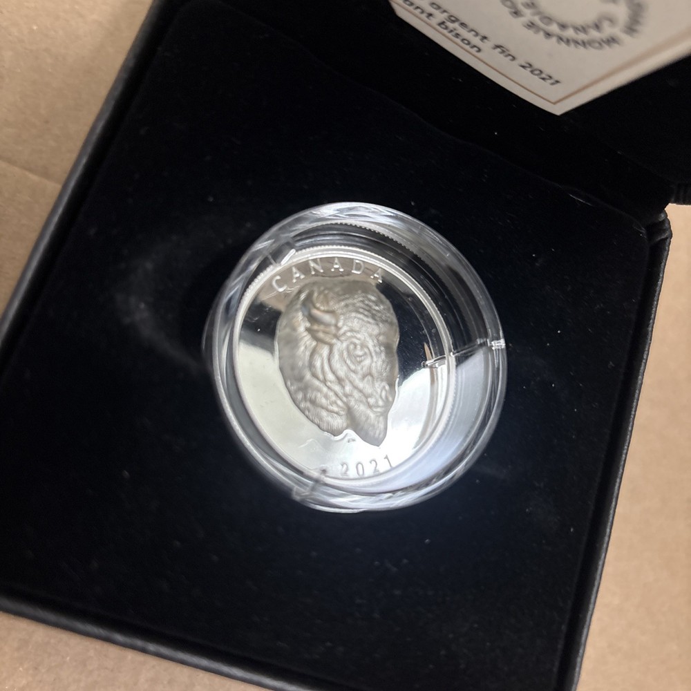 2021 $25 Bold Bison - Pure Silver Coin
