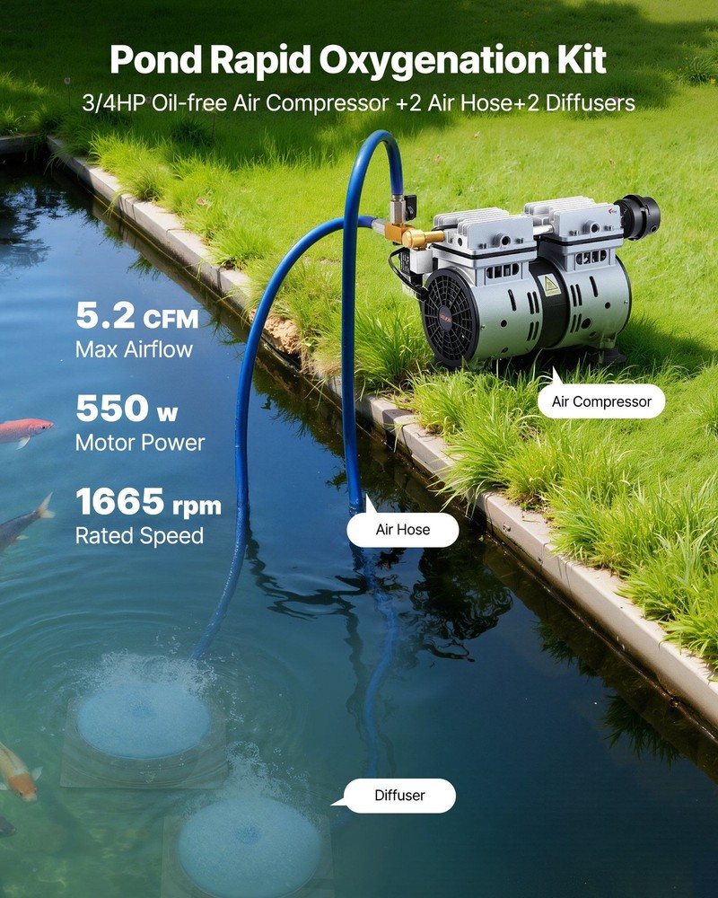 Pond Aeration Kit: 5.2 CFM, 3/4HP Compressor, 2 Diffusers, Timer, 100ft Hoses