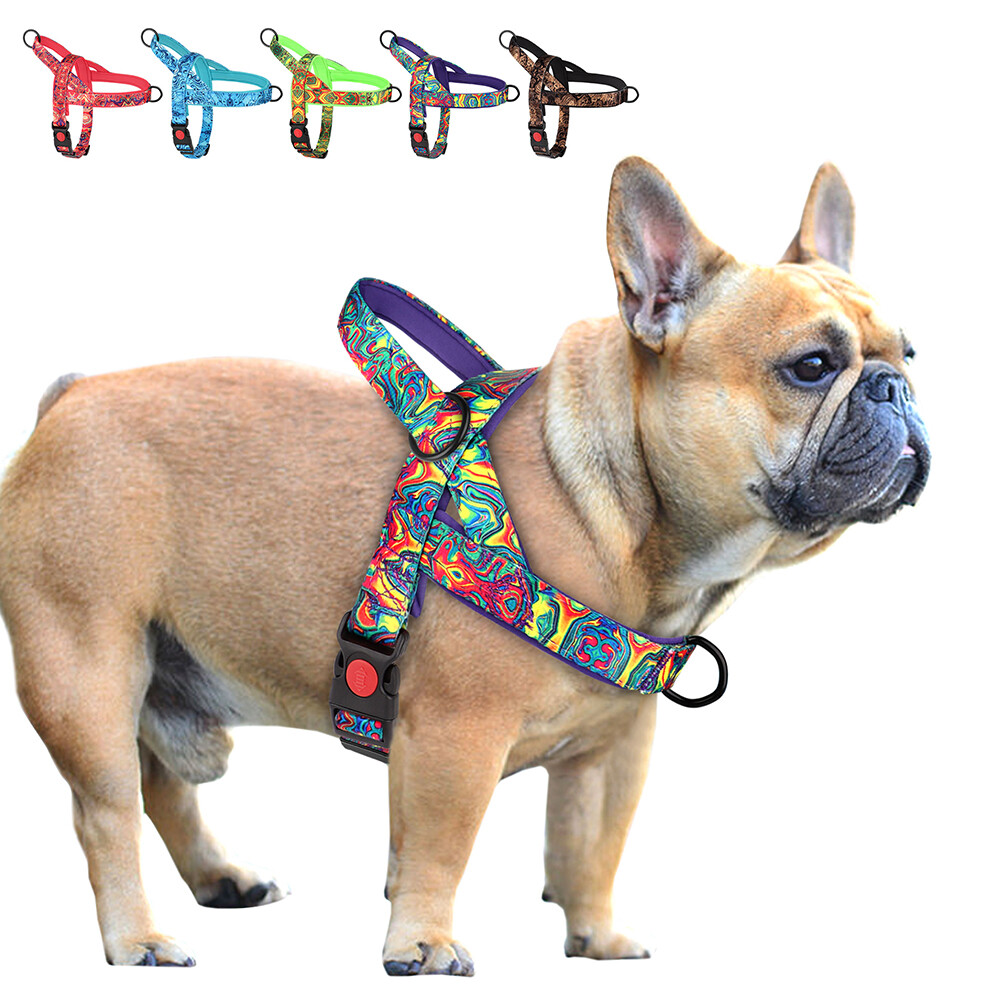 No Pull Dog Harness Nylon Soft Padded with Front Clip for Small Medium Large Dog