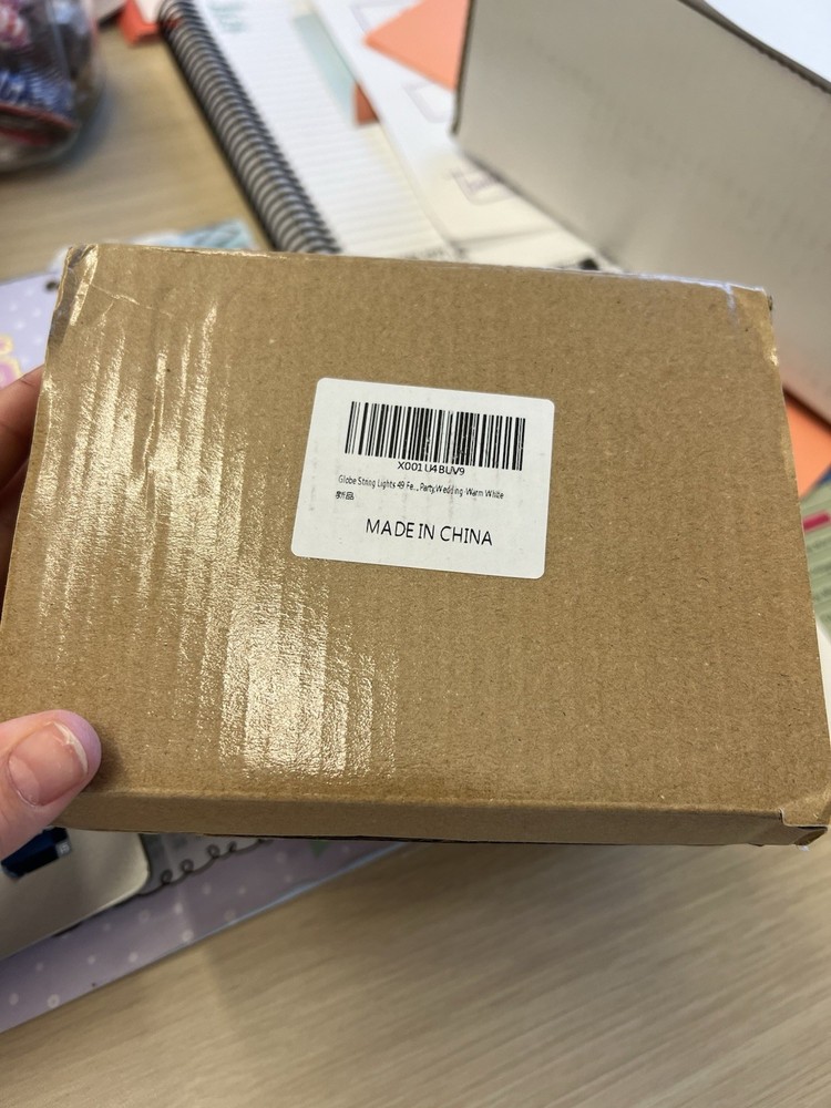 NEW Globe String Lights In Box