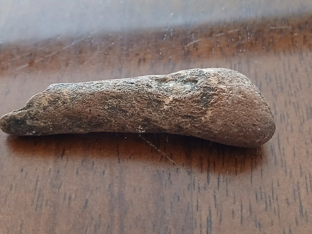 Fossilized bone Unknown specimen New Mexico