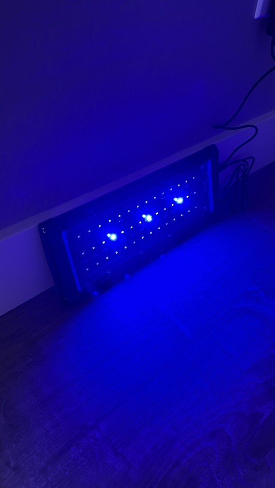 Honpal Aquarium LED Light, 2 Modes, 12”
