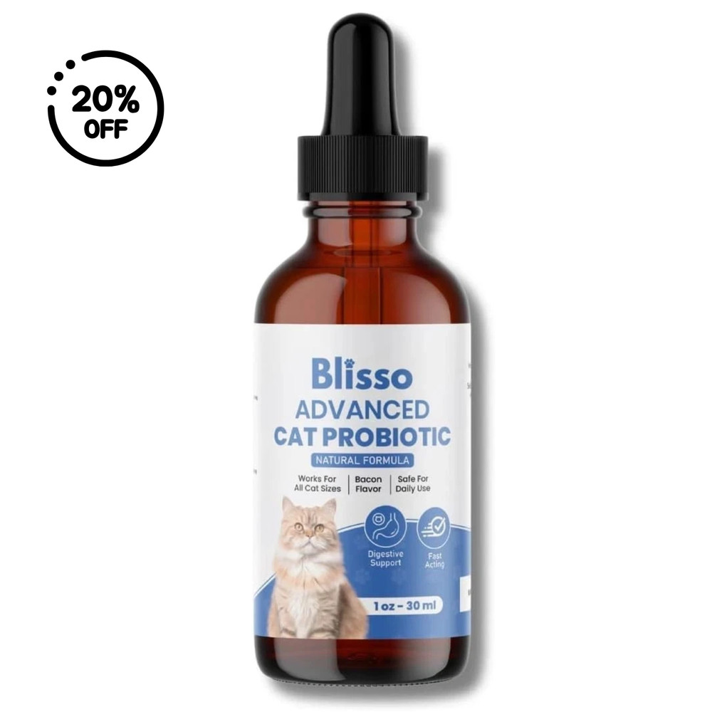 Diarrhea.. Blisso Advanced Cat Probiotic Drops – Digestive Support for Cats with