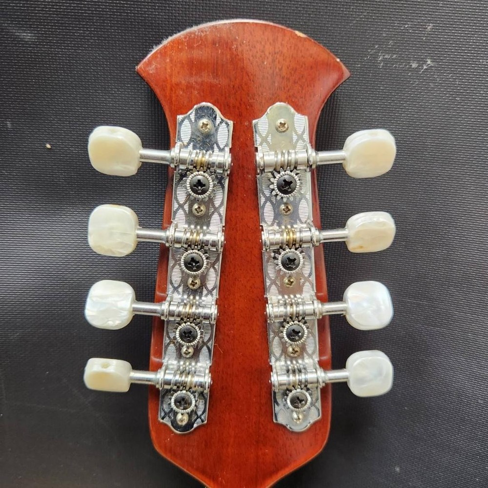 Suzuki violin mandolin M-218 with case