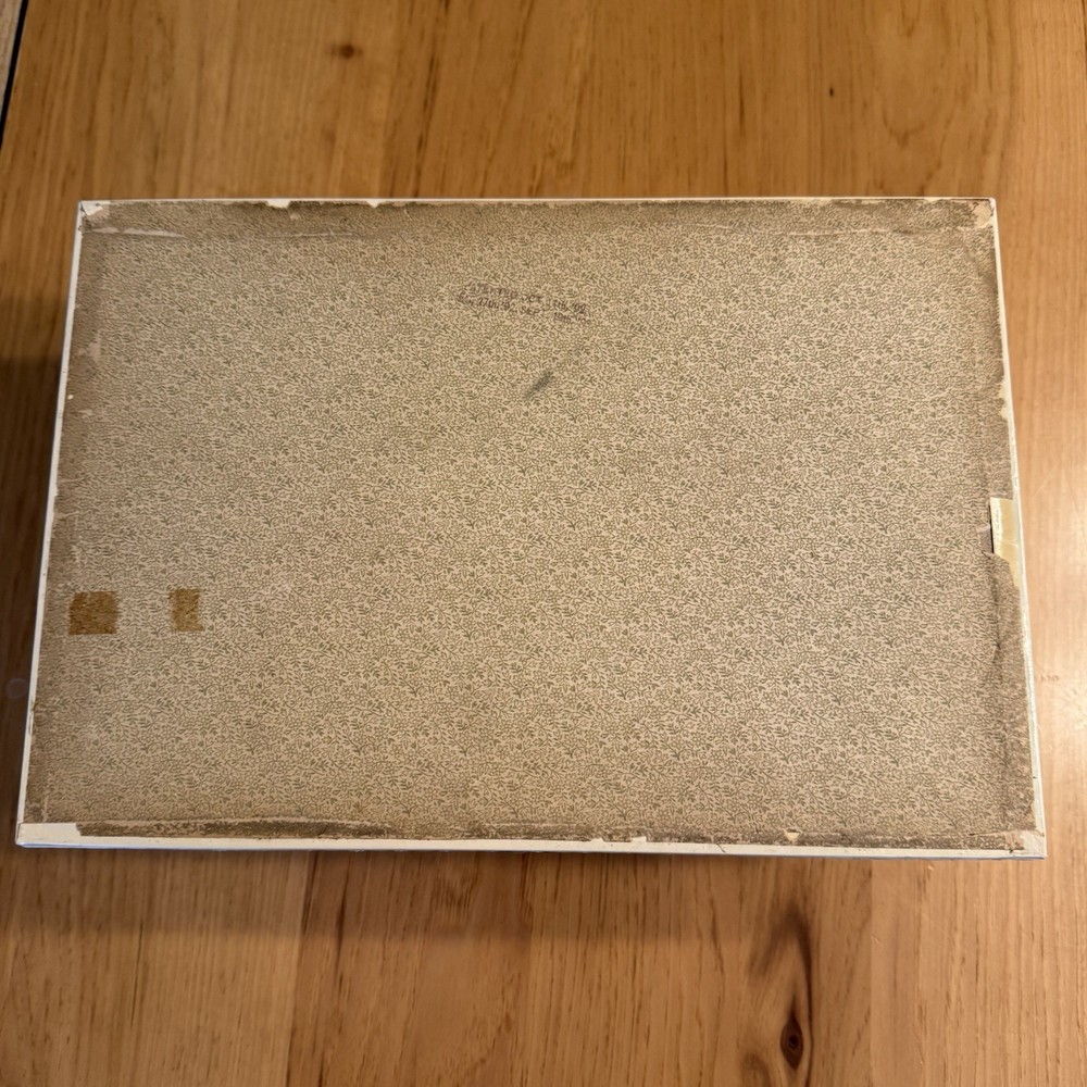 Fancy Vanity Victorian Celluloid Embossed Box with Comb Brush *READ*
