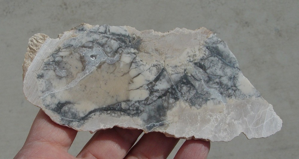 Cedar Ridge Dendritic Opal Lapidary Slab T1129