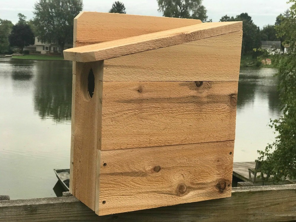 Squirrel House Nesting Box 3/4" Solid Cedar Owl 3 Different Sizes TOP SELLER!!!!