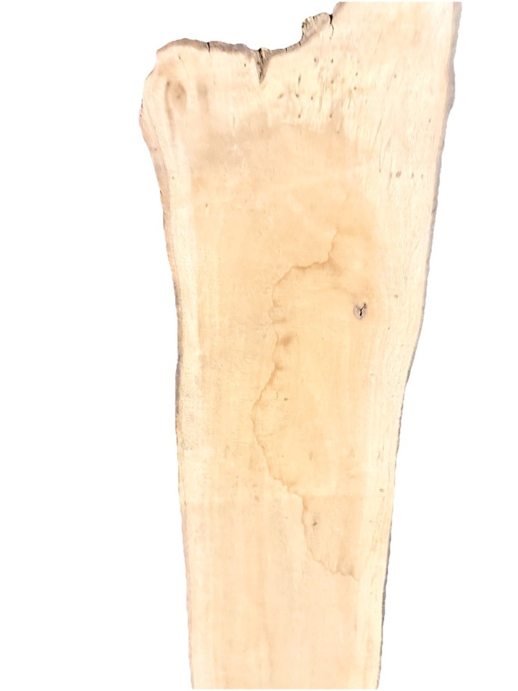 hawaiian curly koa