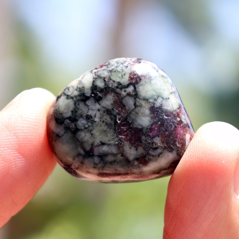 Polished Eudialyte (EUD32)