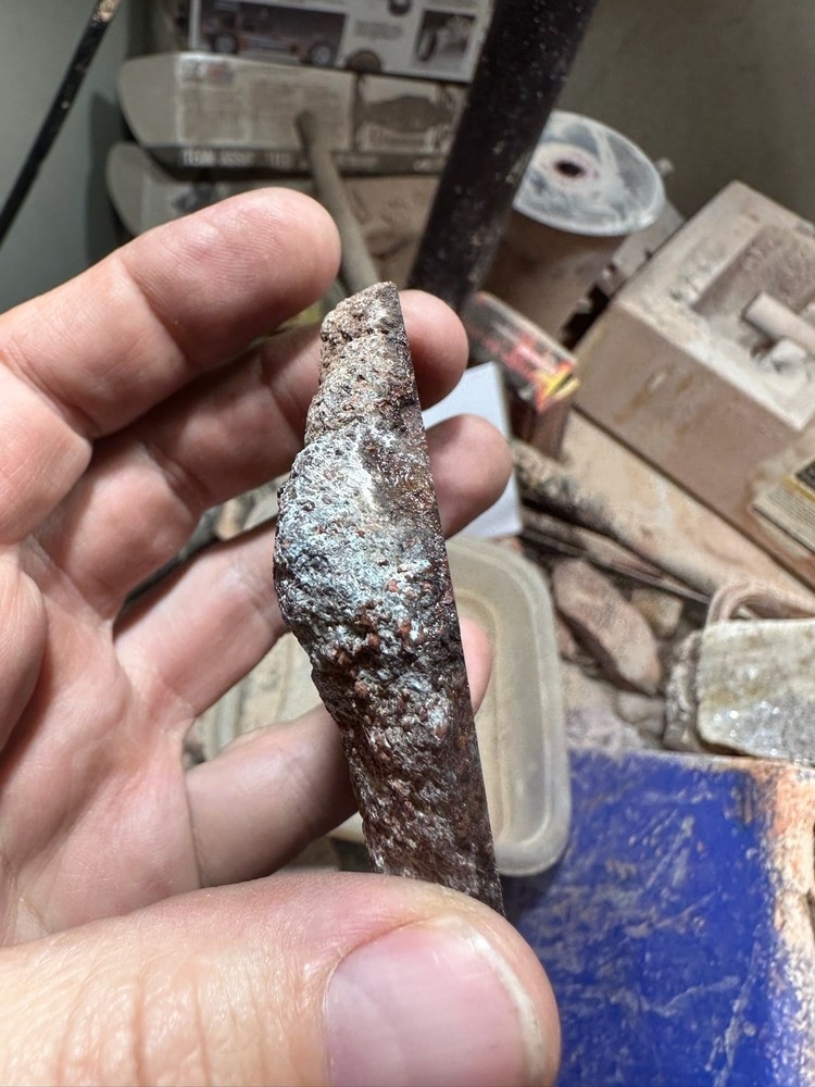 Dinosaur bone rough **hxtled end cut.