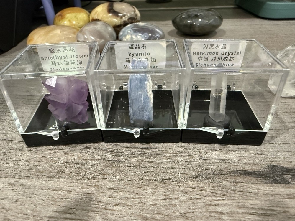 Crystal Display Specimens Amethyst Kyanite Herkimer Assorted Points Collection