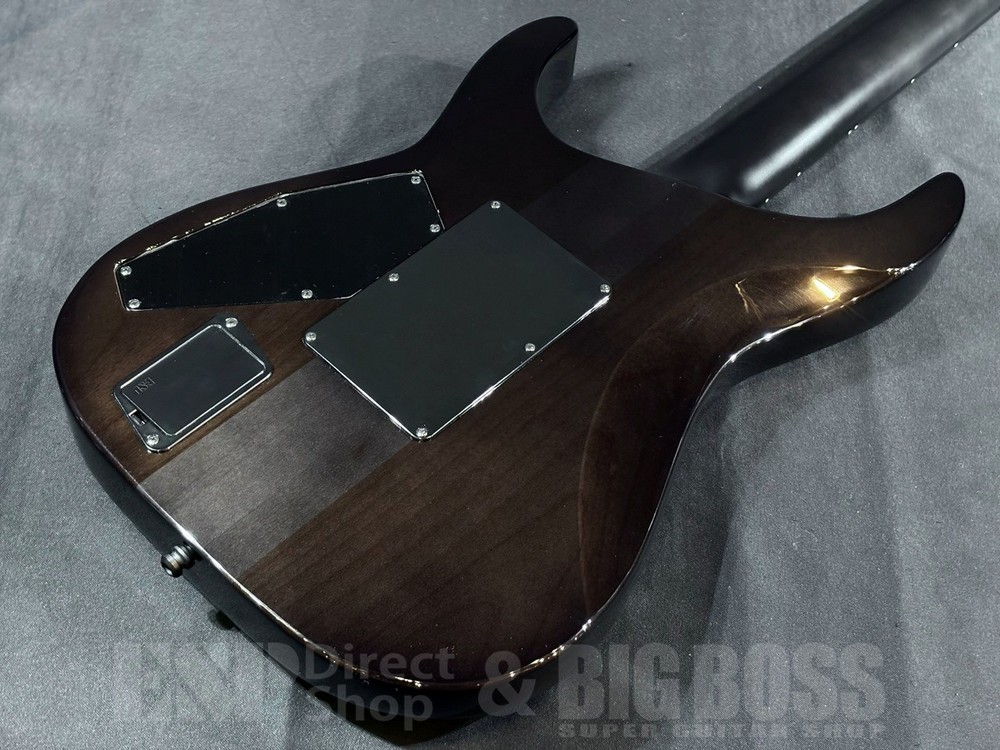 E-II M-II FM See-Thru Black