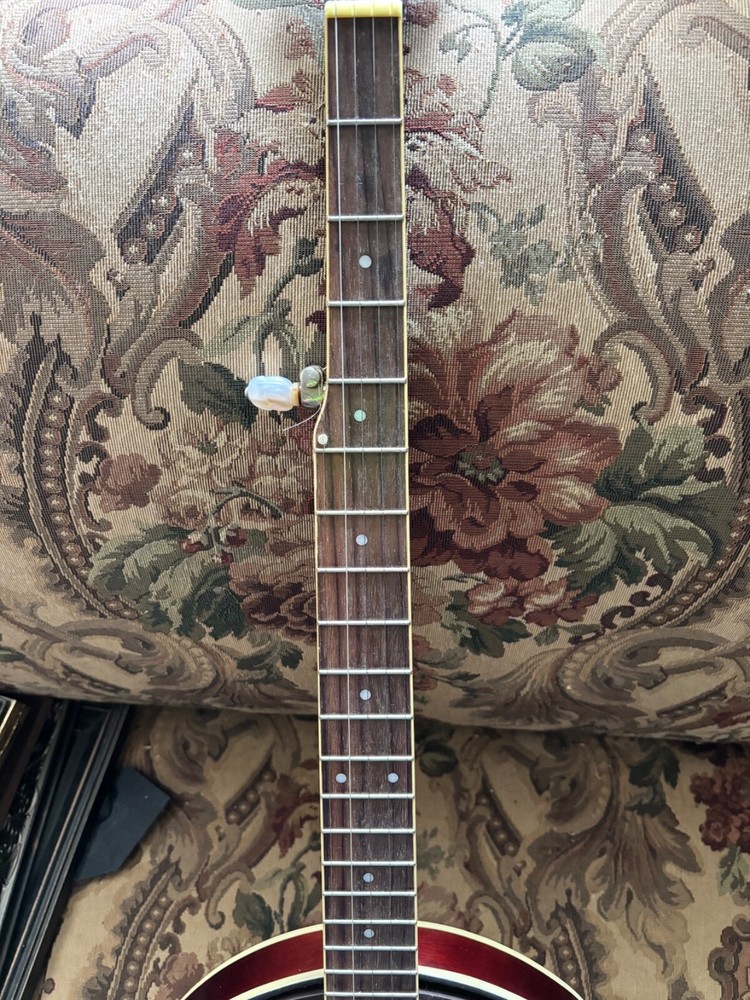 Pickin' Pac 5-String Banjo by Appalachian