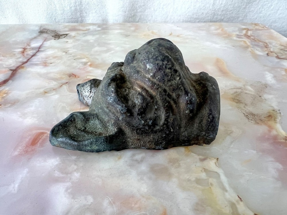 Antique Solid Bronze Bulldog Head Architectural Mount c1900
