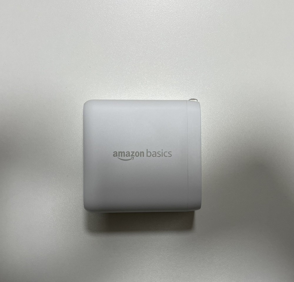 Amazon Basics 100w