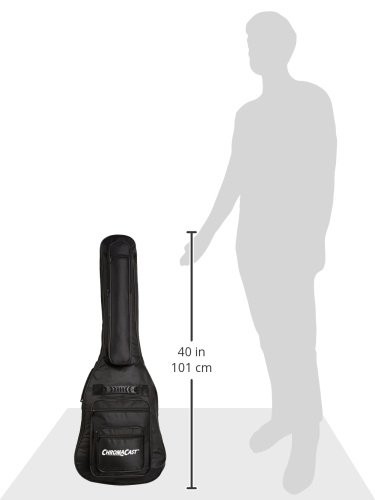 Electric Padded Gig Bag