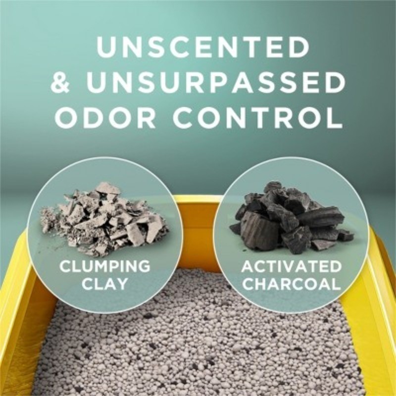 Clean Unscented Clumping Scoop Cat & Kitty Litter for Multiple Cats
