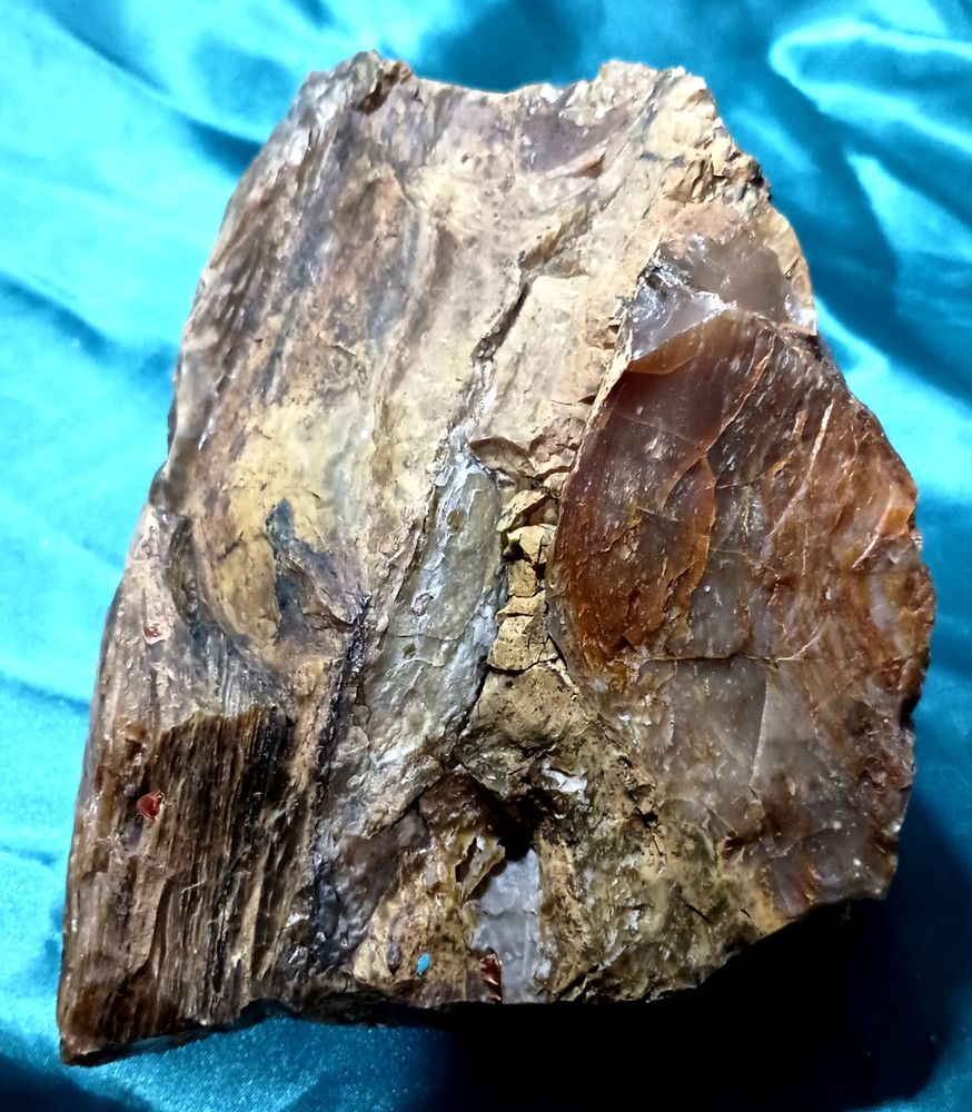 Opalized Petrified Wood Display Specimen WA State 7 LB 8 OZ