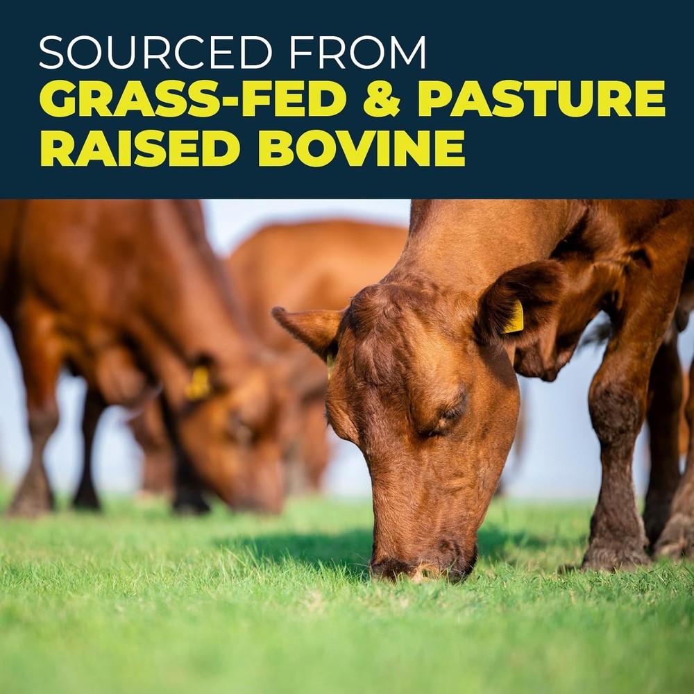 Left Coast Performance Grass-Fed Beef Protein Isolate (Exp 01/28) 30 Servings