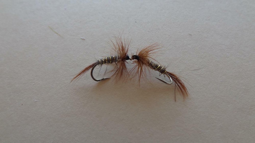 1 DOZ DF-6 RED SQUIRREL (SELECT YOUR SIZE) DRY FLY