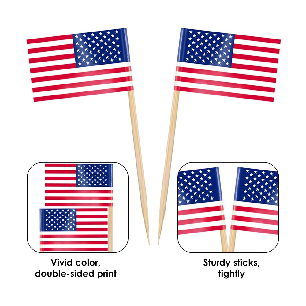 AhfuLife Different Countries Toothpick Flag, 100 Pcs Mini 100 Pcs, Mixed