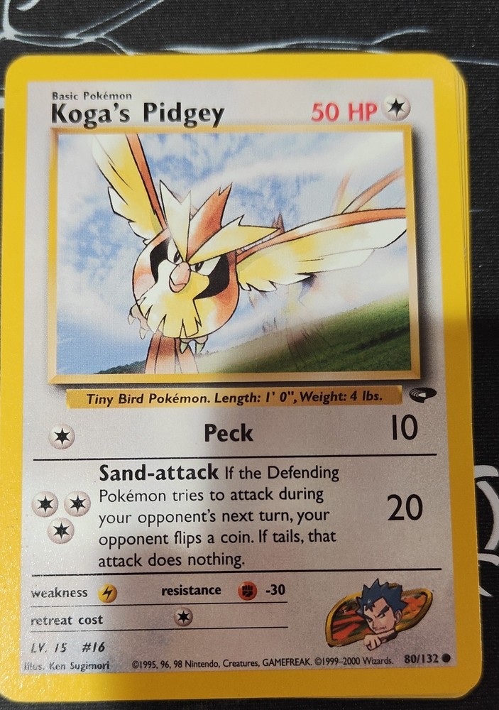 Koga's Pidgey 80/132 Gym Challenge Regular