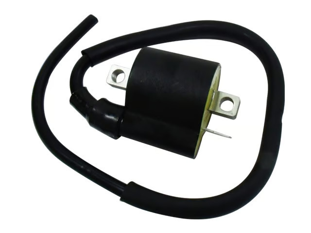Bronco Ignition Coil AT-01318 183-2020 999746