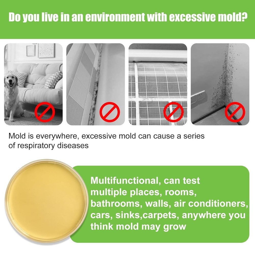 Comprehensive Home Mold Kit - 6 Easy Tests with Identification Guide