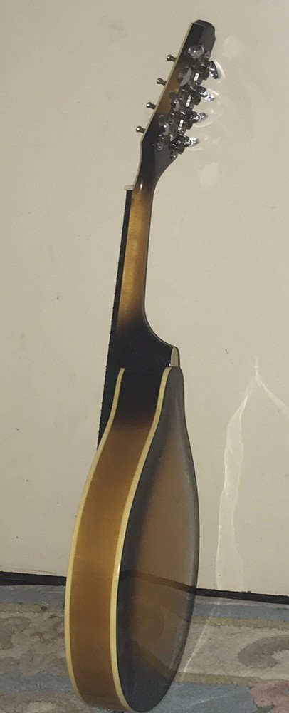 Johnson oval hole mandolin MA-110