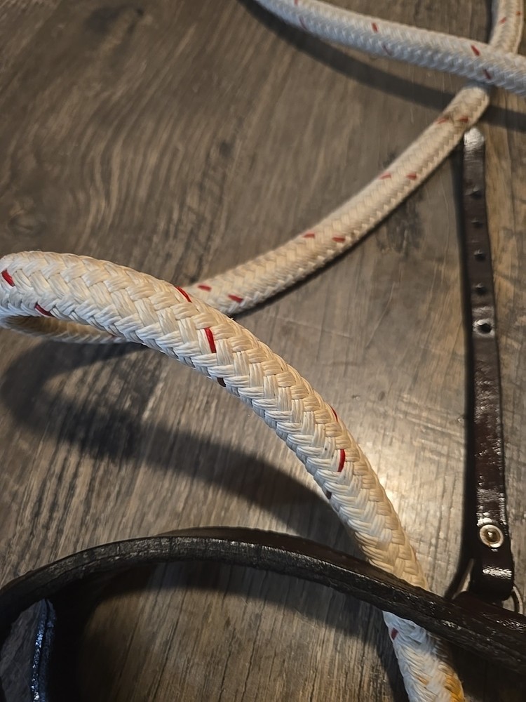 western headstall