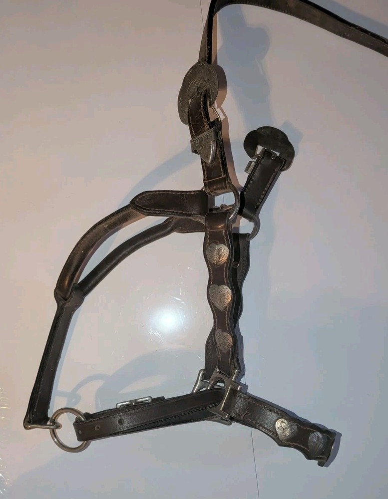 Showmanship Halter (No Lead)