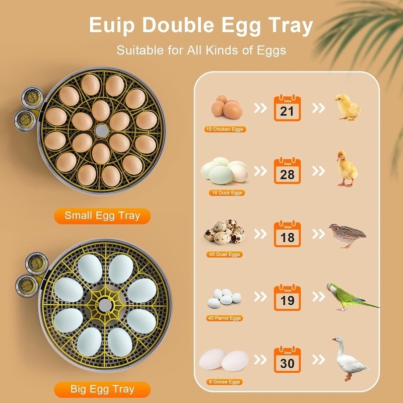 Automatic Egg Incubator 360° View Humidity Control Egg Turner Candling System US