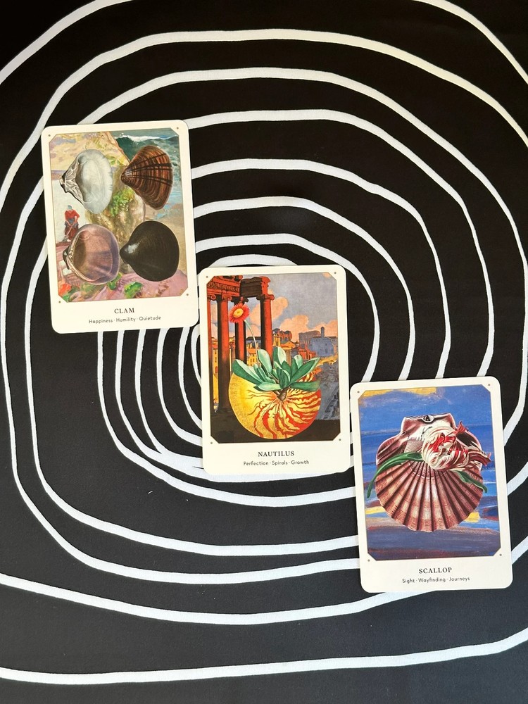The Seashell Oracle Deck 44 Card Deck for Divination by Broccoli
