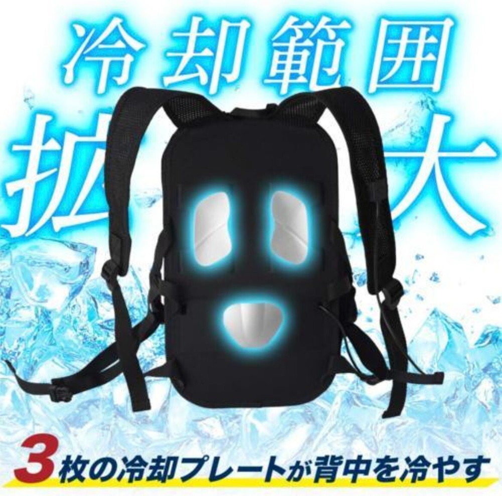 Sanko Peltier Cooling Backpack Cooler Japan