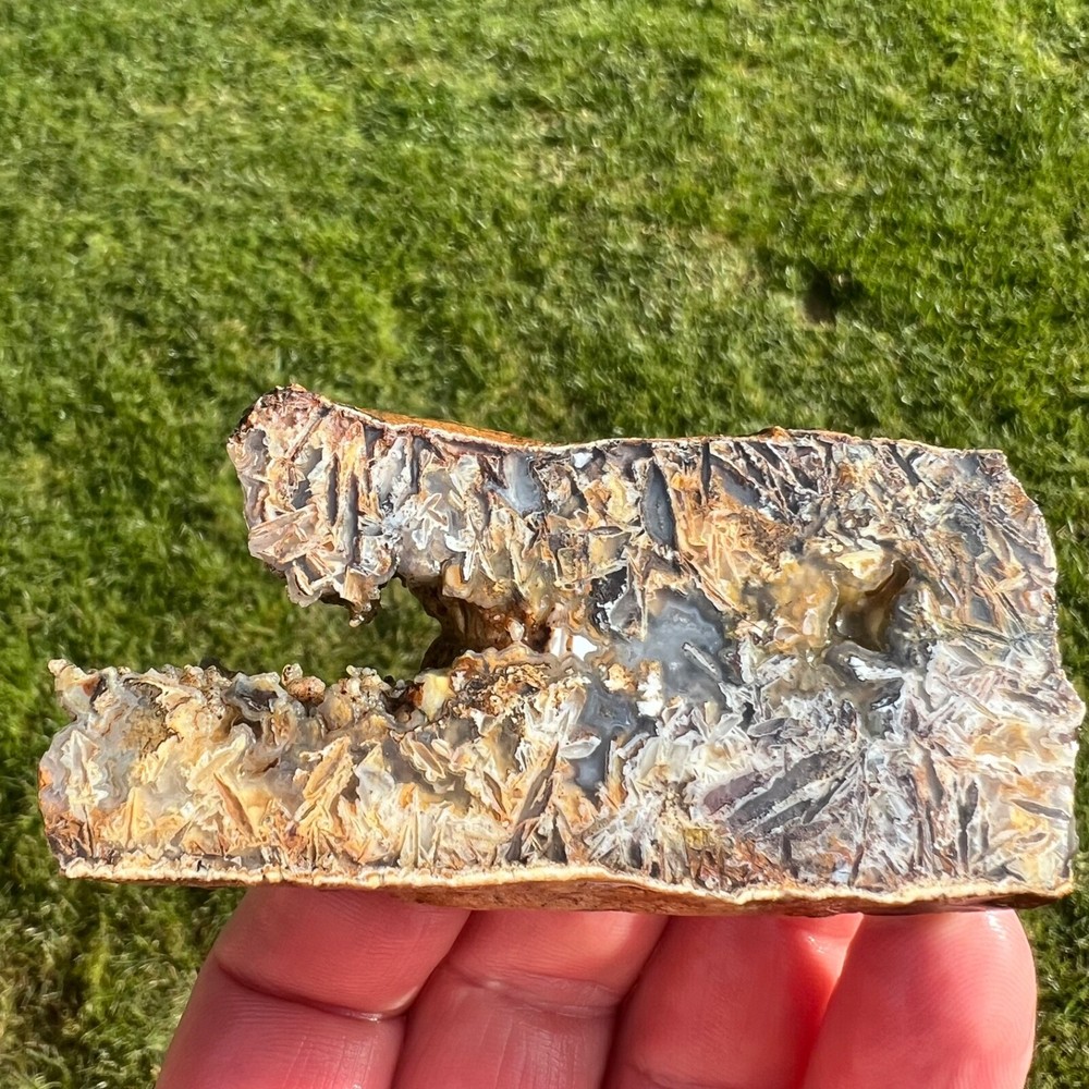 Graveyard Point Pseudomorph Stick Agate Rough Faced Specimen 94gm (A19)