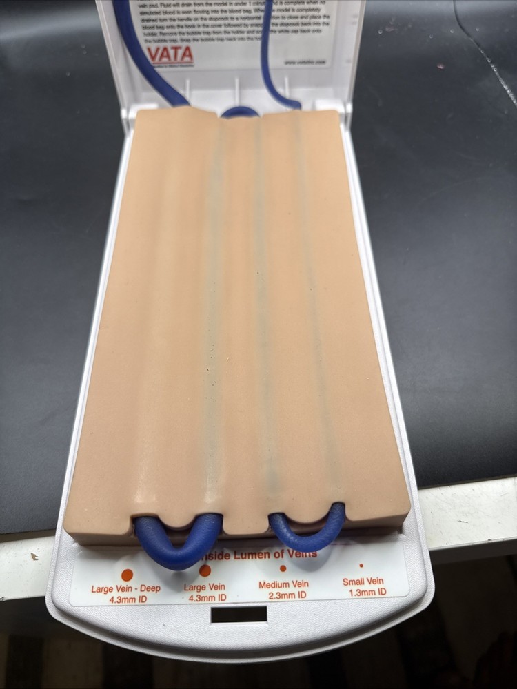 VATA Advanced 4-Vein Venipuncture Training Aid 2365 Teaching Model