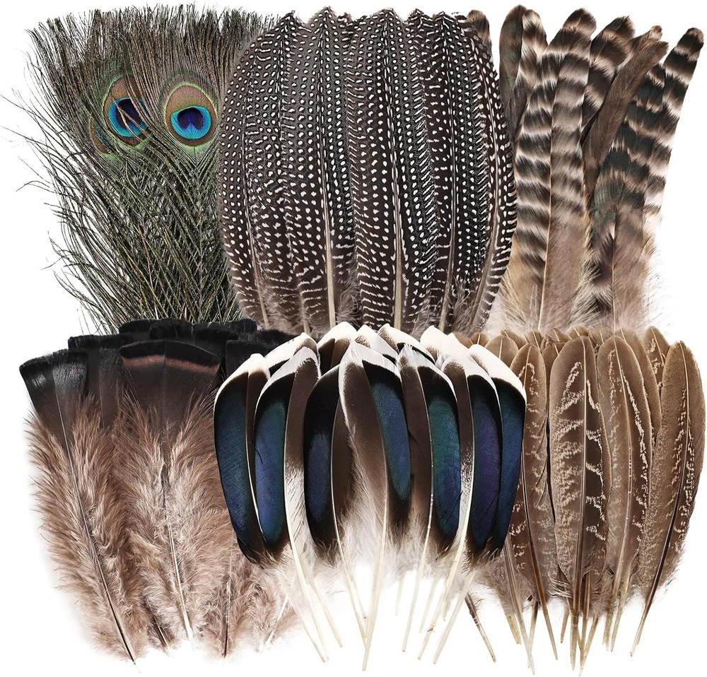 Assorted Natural Craft Feathers For DIY And Decoration
