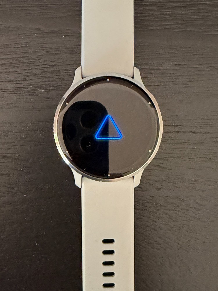 Garmin Venu 3 45 mm White