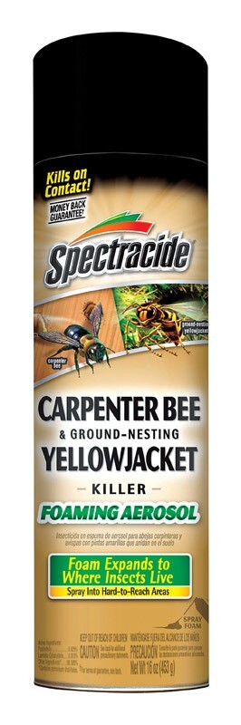 Spectricide Carpenter Bee & Ground-Nesting Yellowjacket Killer Foaming Aerosol