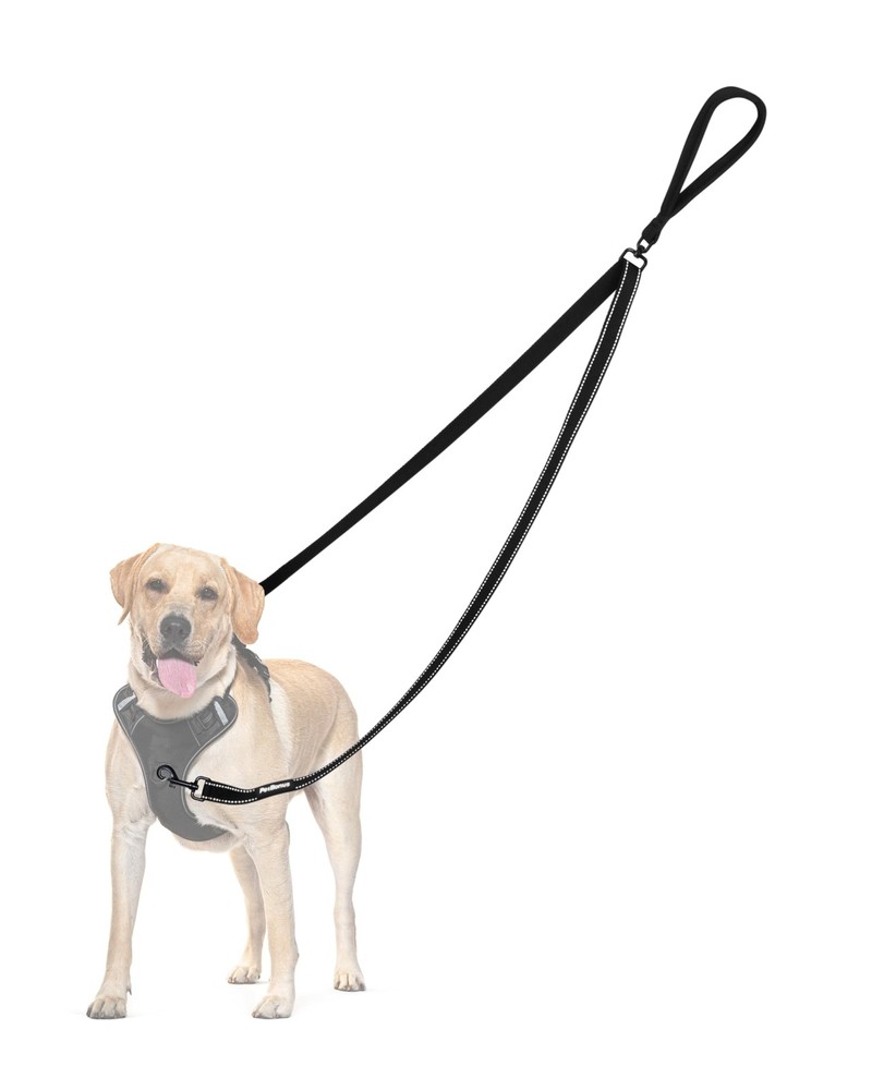 Two Point Control Dog Leash, Works with No Pull Harnesses, No Tangle Training...