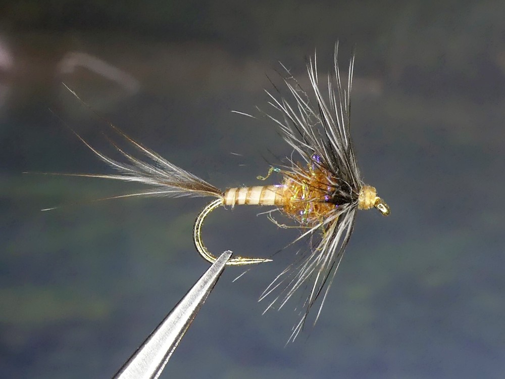 6 Flies - Sparkle Biot Nymph