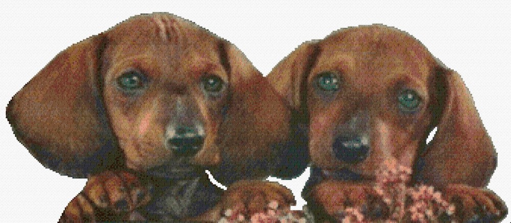Dachshund Puppies Cross Stitch Pattern + Photo - Medium Size, Medium level Chart