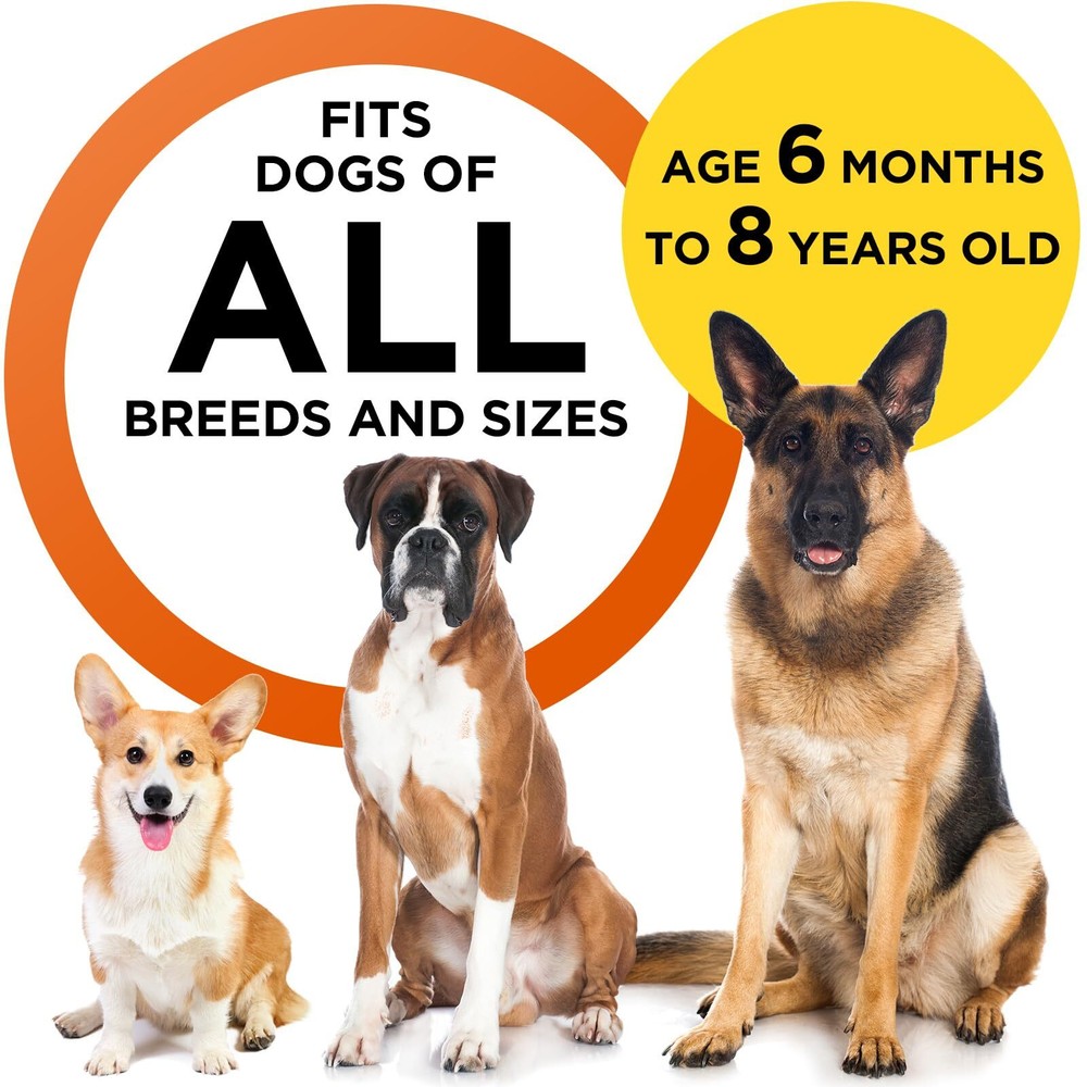 Anti-Bark Device with LED Flashlight for Training Dogs 35ft Range Bark Collar