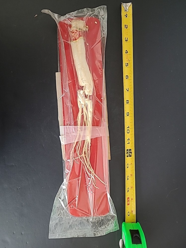 Vintage Ginseng Root Packged