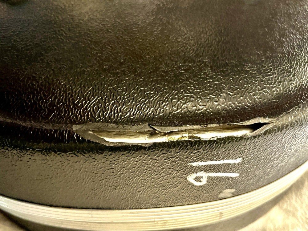 BIG Viola Thermoplastic Hard case