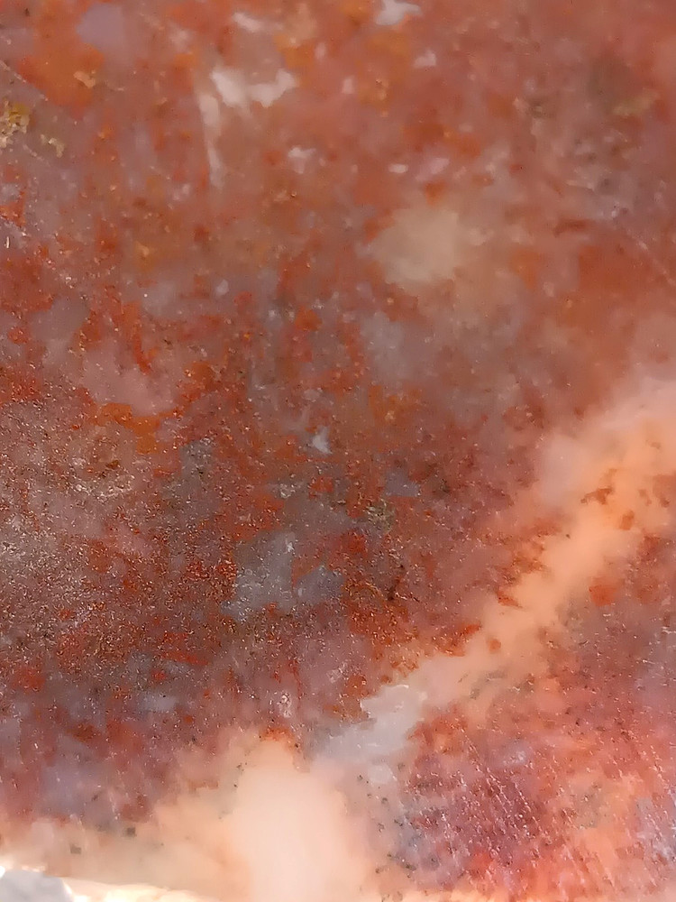 Maury Mountain Moss Agate Slab - Oregon