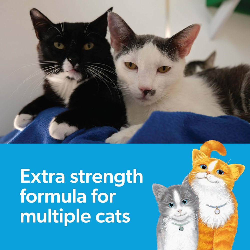 Clumping Cat Litter Multi - Cat Extra Strength Formula with Freshness - 14Lb Box